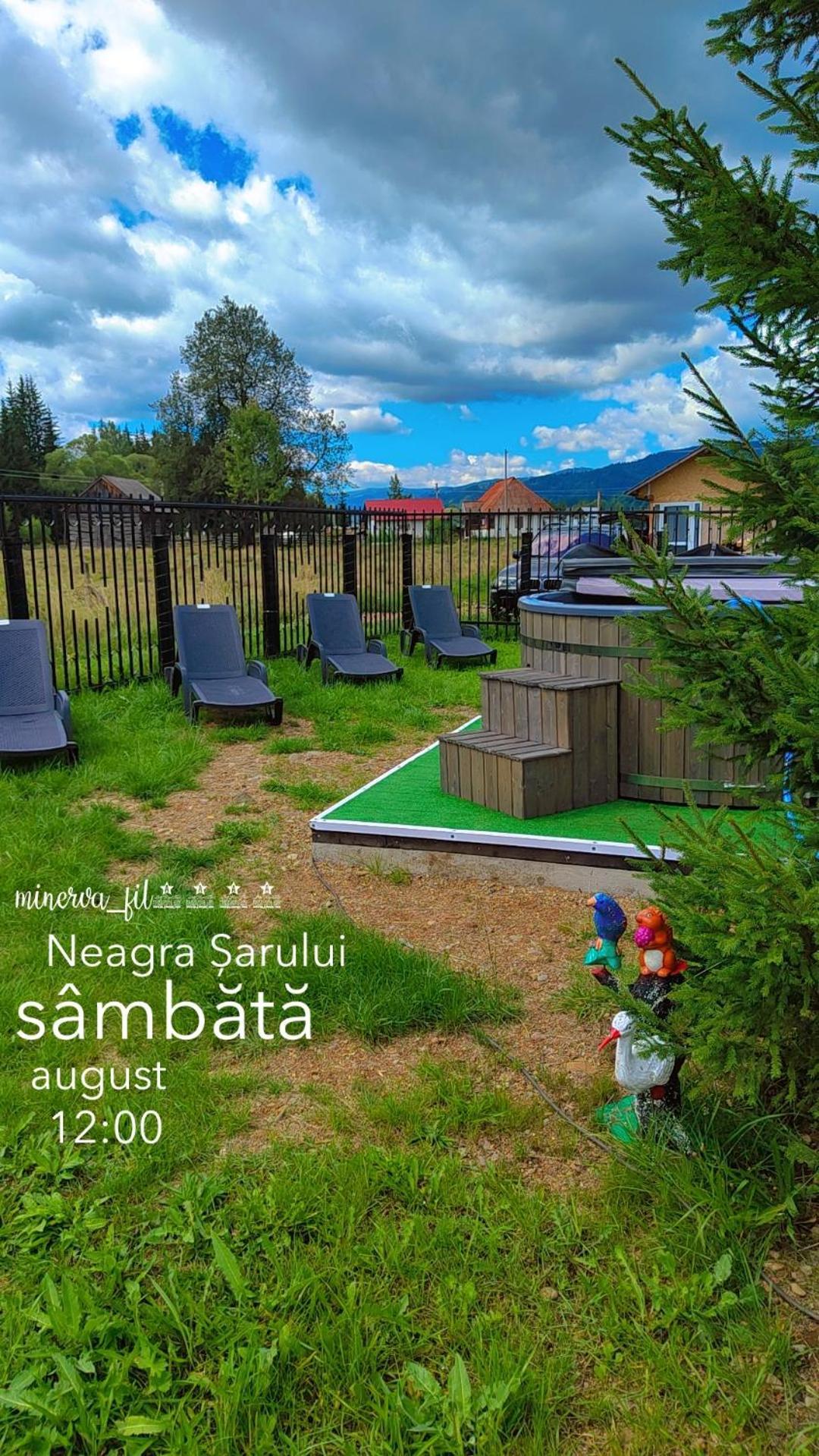 Vila Raisa Neagra Sarului 외부 사진