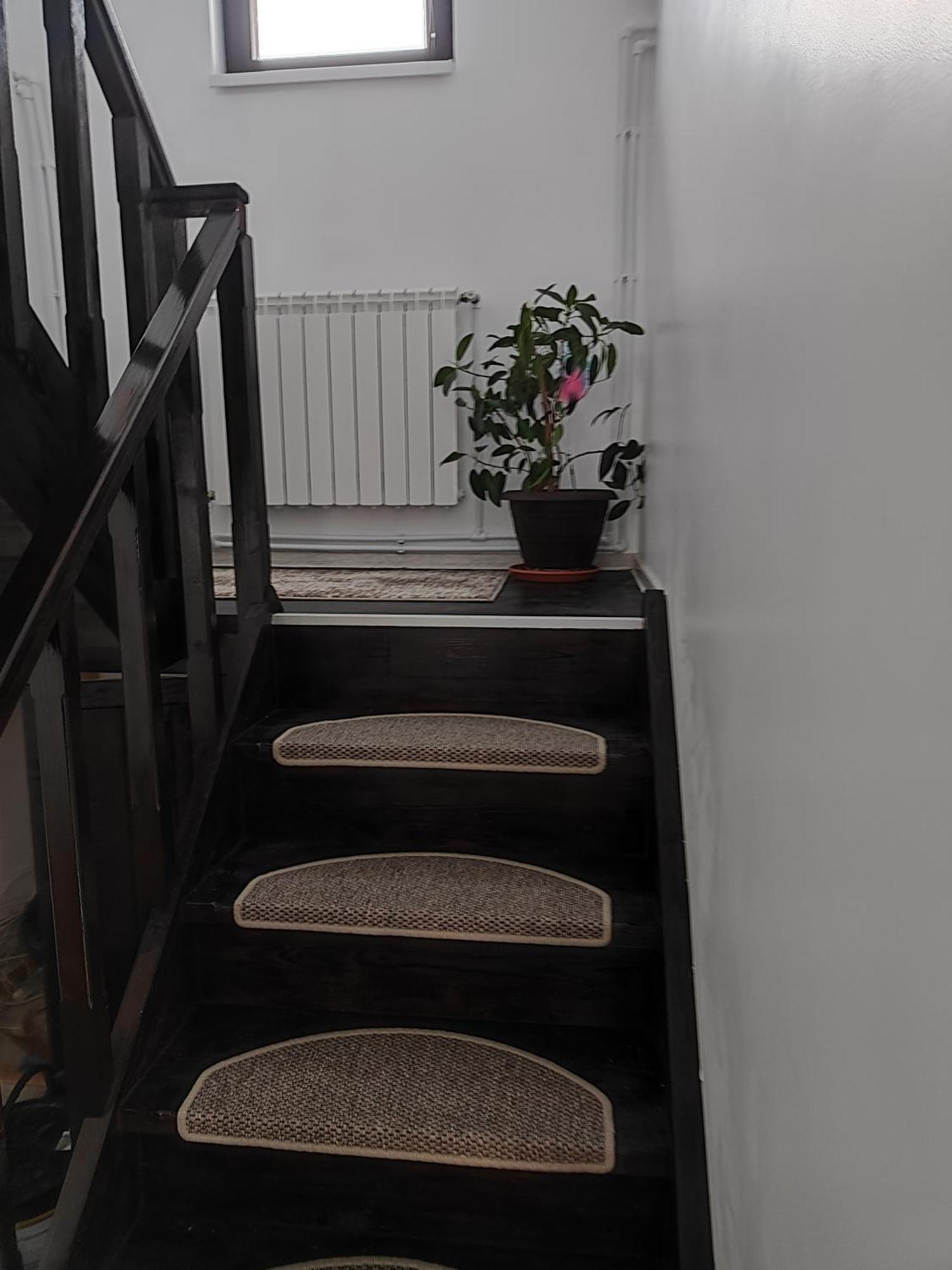 Vila Raisa Neagra Sarului 외부 사진